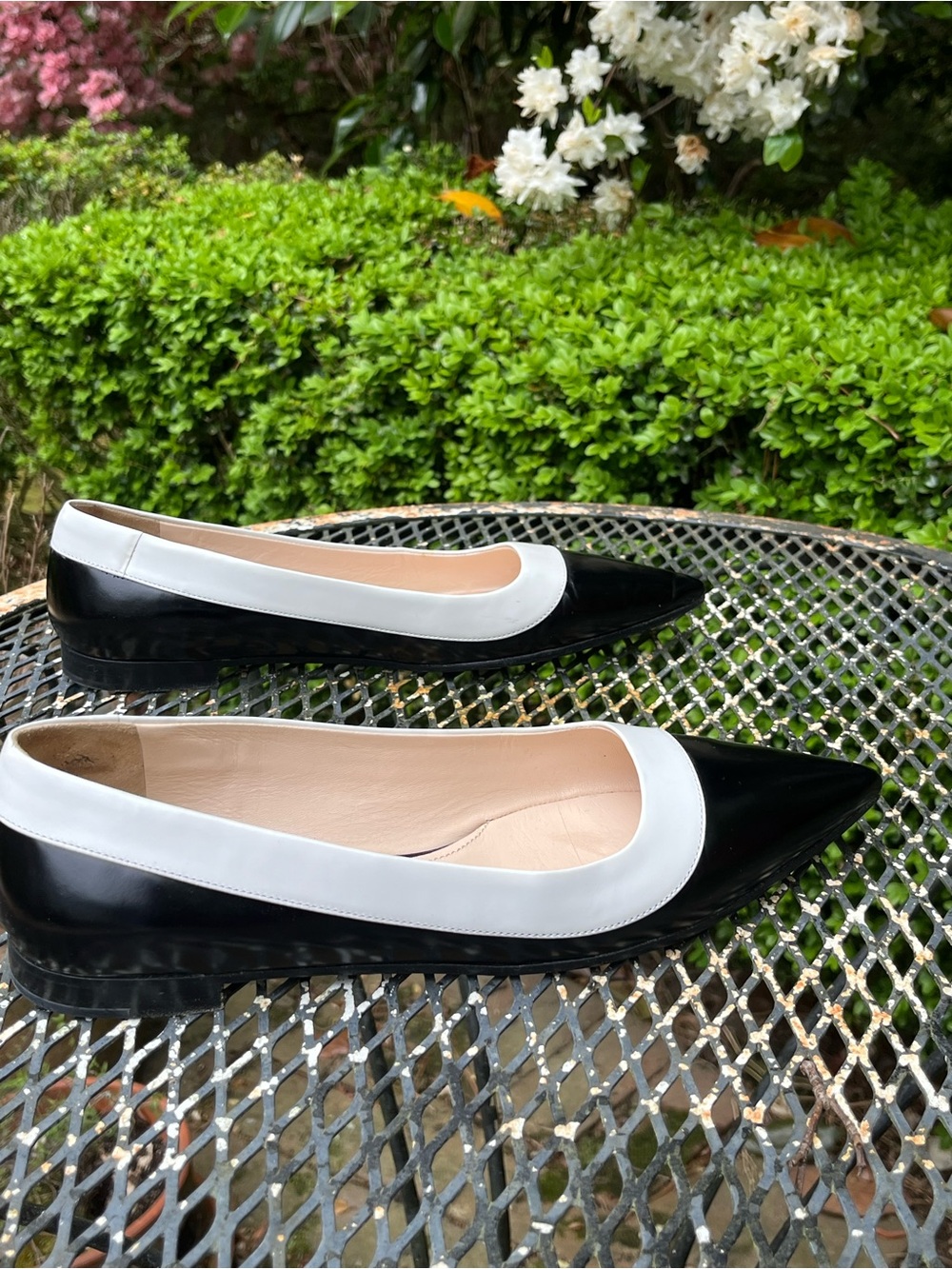 Prada Black and White Pointed Toe Leather Flats - Picture 5 of 6